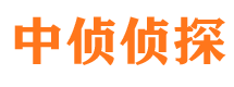 延长侦探公司